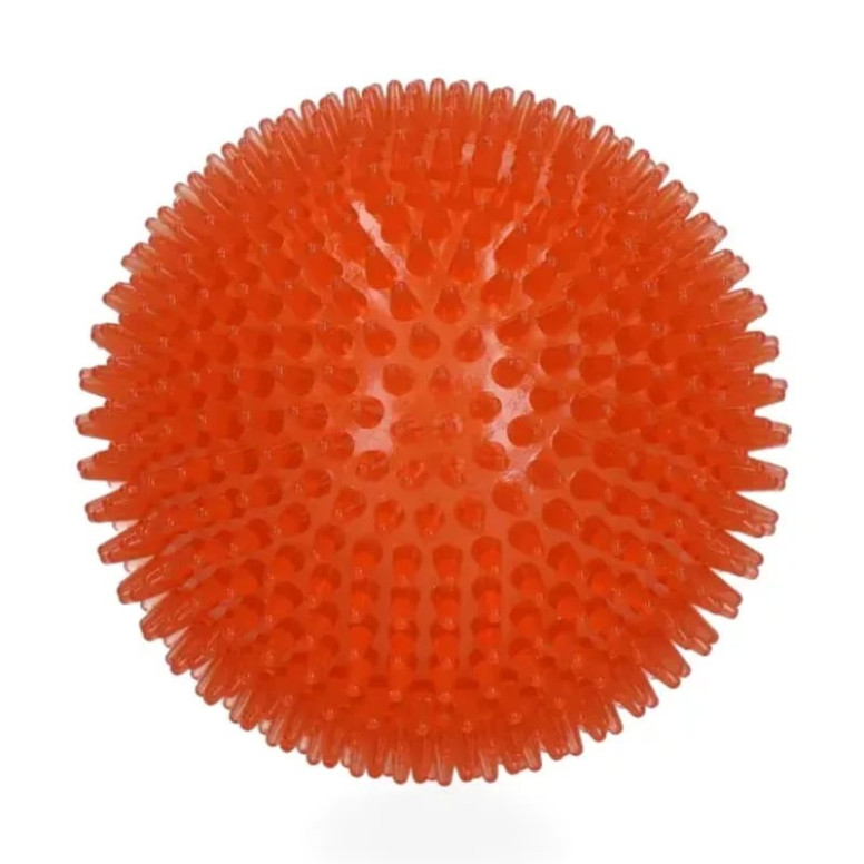 Balle chien Dog Comets : Exoplanet Orange L1, rebond, flottante