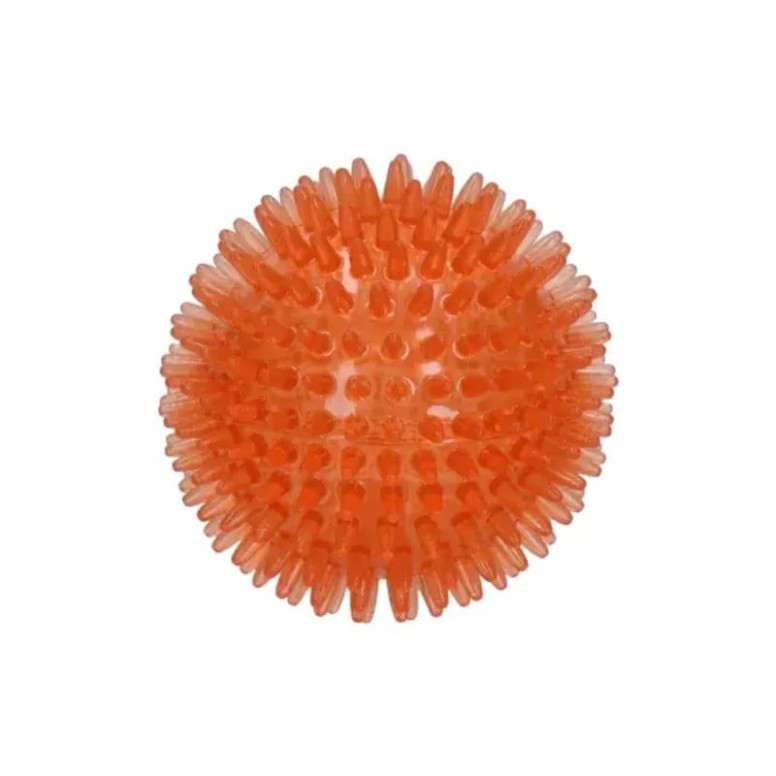 Balle chien Dog Comets Exoplanet M - Soin dentaire et flottante