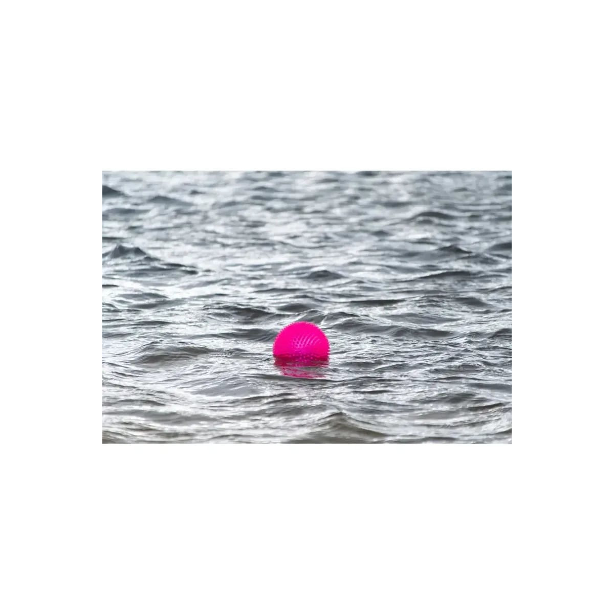 Balle chien Dog Comets Exoplanet Rose - Flottante & soin dentaire