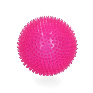 Balle chien Dog Comets Exoplanet Rose - Flottante & soin dentaire