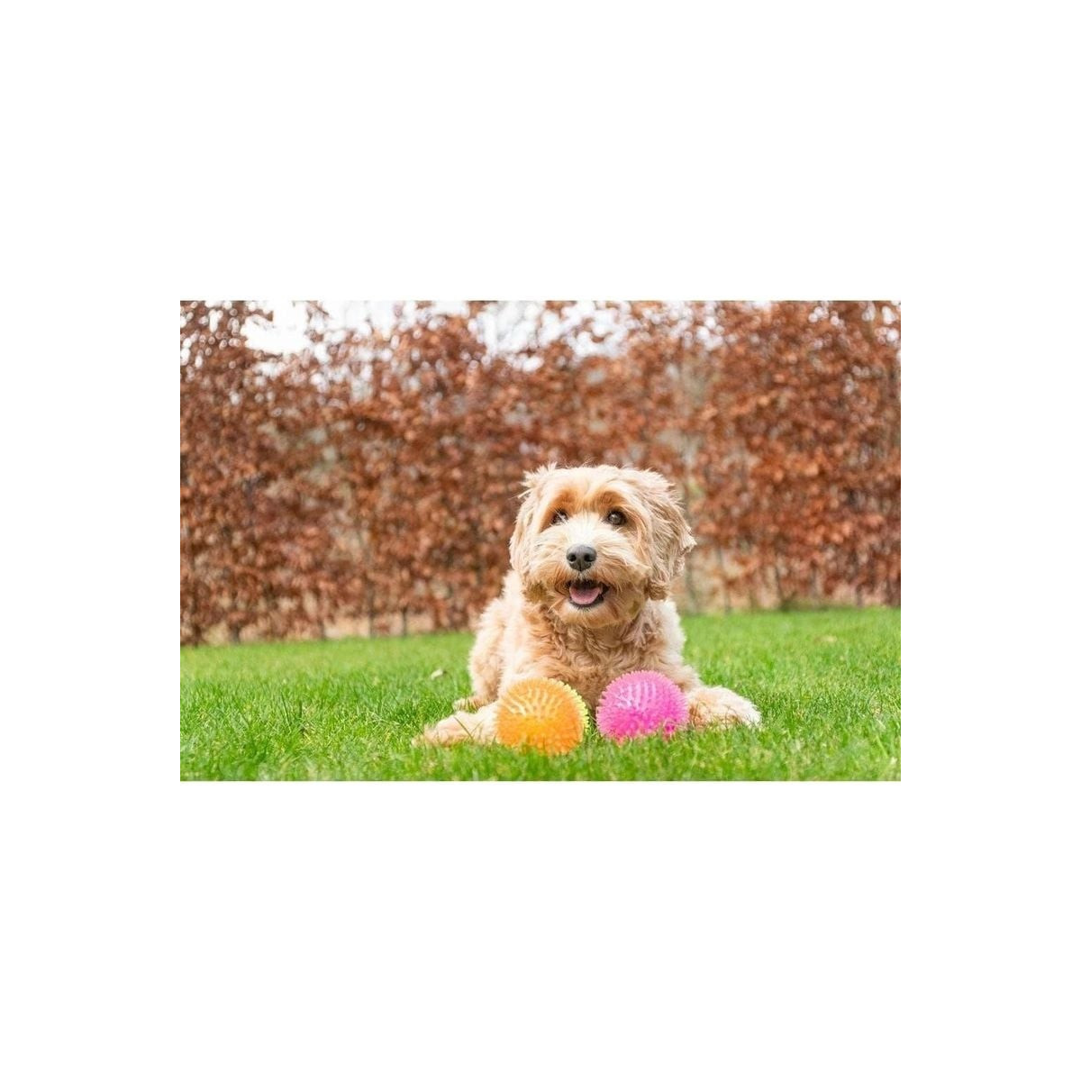 Jouet chien Dog Comets Exoplanet rose - Pics, couineur, jeu aquatique