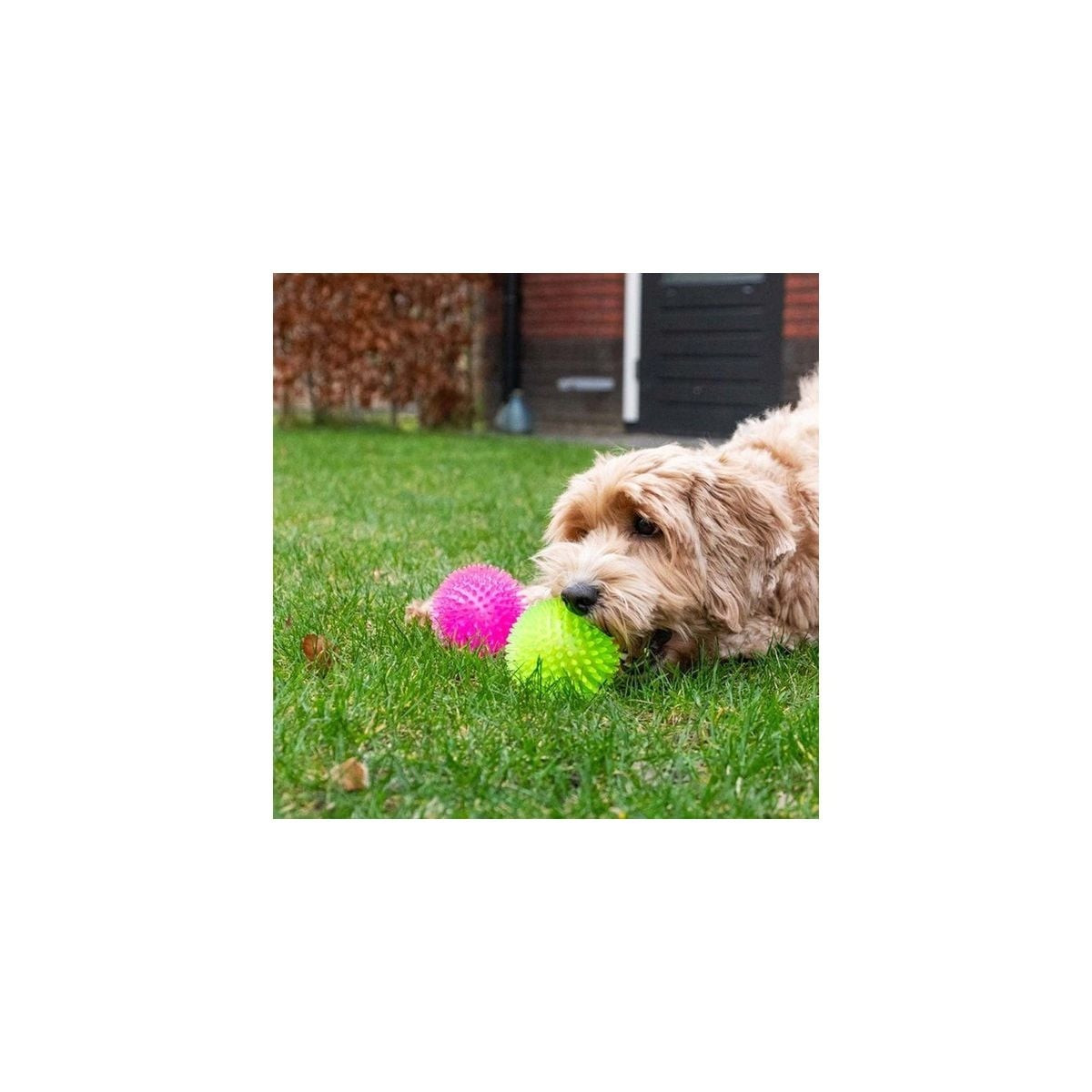 Balle chien Dog Comets Vert - Rebond, flottante, massage gencives