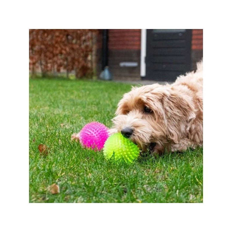 Balle chien Dog Comets Vert - Rebond, flottante, massage gencives