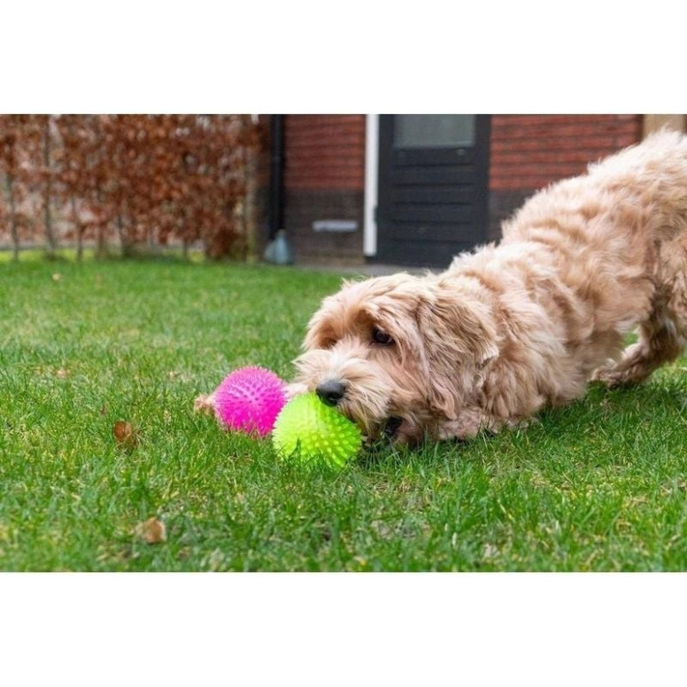 Jouet chien Dog Comets : balle Exoplanet verte - 5 cm - TPR flottante
