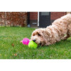 Jouet chien Dog Comets : balle Exoplanet verte - 5 cm - TPR flottante