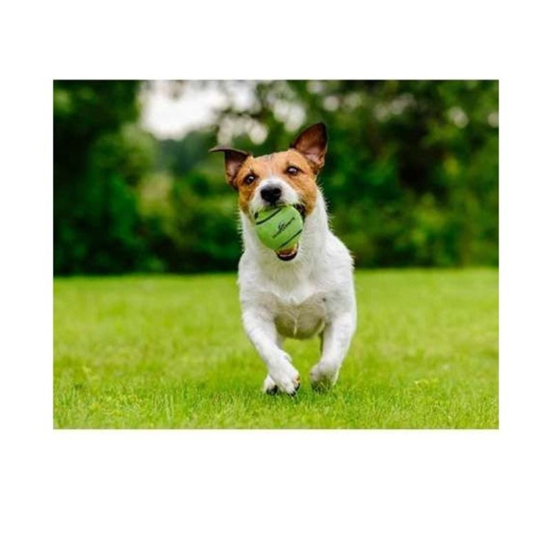 Balle tennis chien Dog Comets 6cm - Ultra rebondissante et résistante