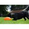 Jouet chien Dog Comets Ballon Rugby flottant, durable, taille L