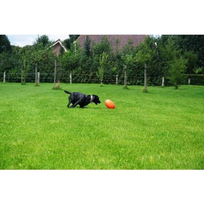 Jouet chien Dog Comets Ballon Rugby flottant, durable, taille L