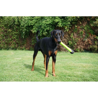 Jouet chien Dog Comets : Bâton Asteroid Vert - Lancement & Dentition