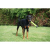 Jouet chien Dog Comets : Bâton Asteroid Vert - Lancement & Dentition