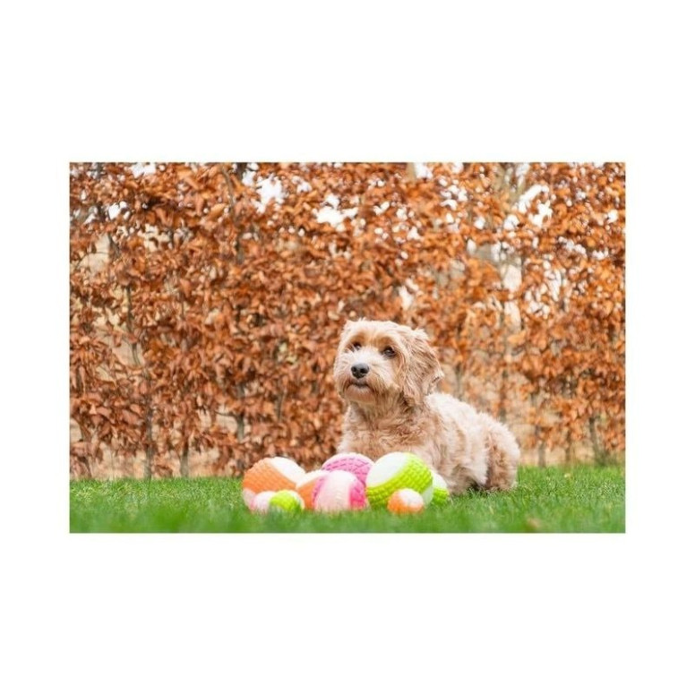 Dog Comets Moon Phospho Orange - Jouet chien lumineux et flottant