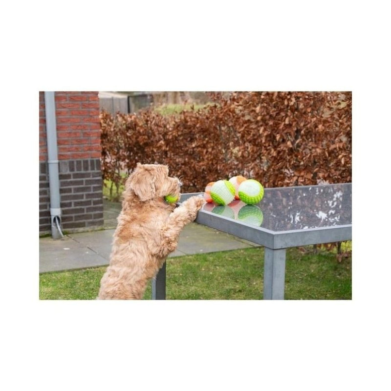 Dog Comets Moon Phospho Orange - Jouet chien lumineux et flottant