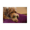 Dog Comets Moon Phospho Orange - Jouet chien lumineux et flottant