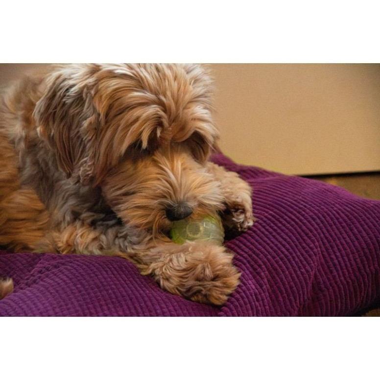 Jouet chien Dog Comets Moon Phospho Orange - Balle lumineuse 5 cm