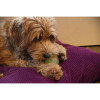 Jouet chien Dog Comets Moon Phospho Orange - Balle lumineuse 5 cm