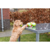 Jouet chien Dog Comets Moon Phospho Orange - Balle lumineuse 5 cm