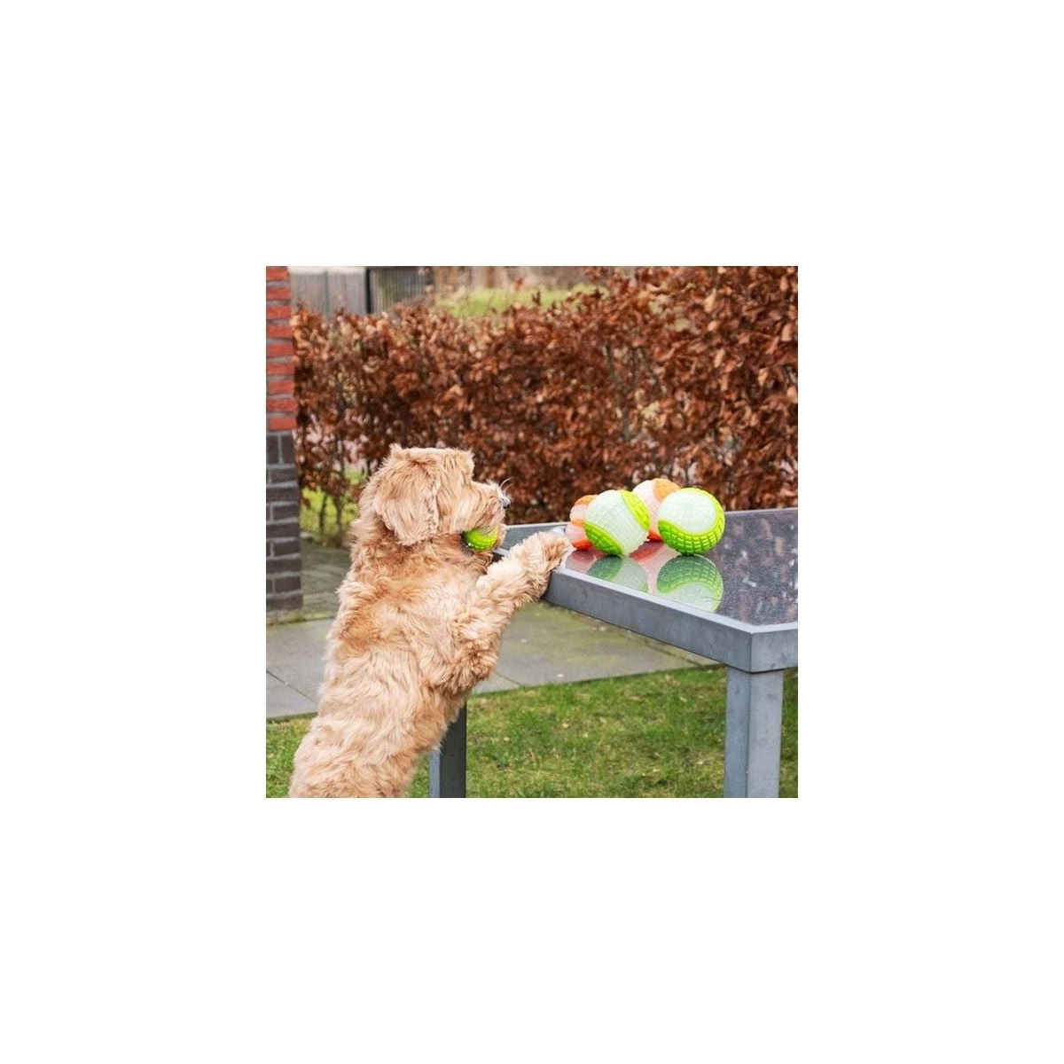 Balle chien Dog Comets Moon - Rose 10cm, phosphorescente