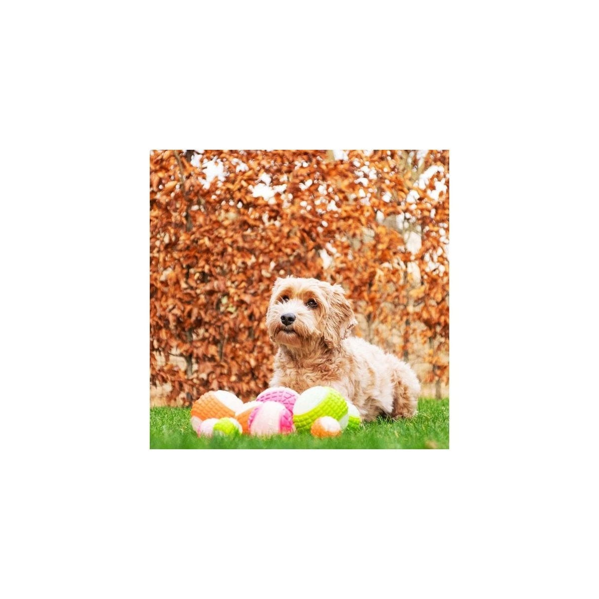 Balle chien Dog Comets Moon - Rose 10cm, phosphorescente