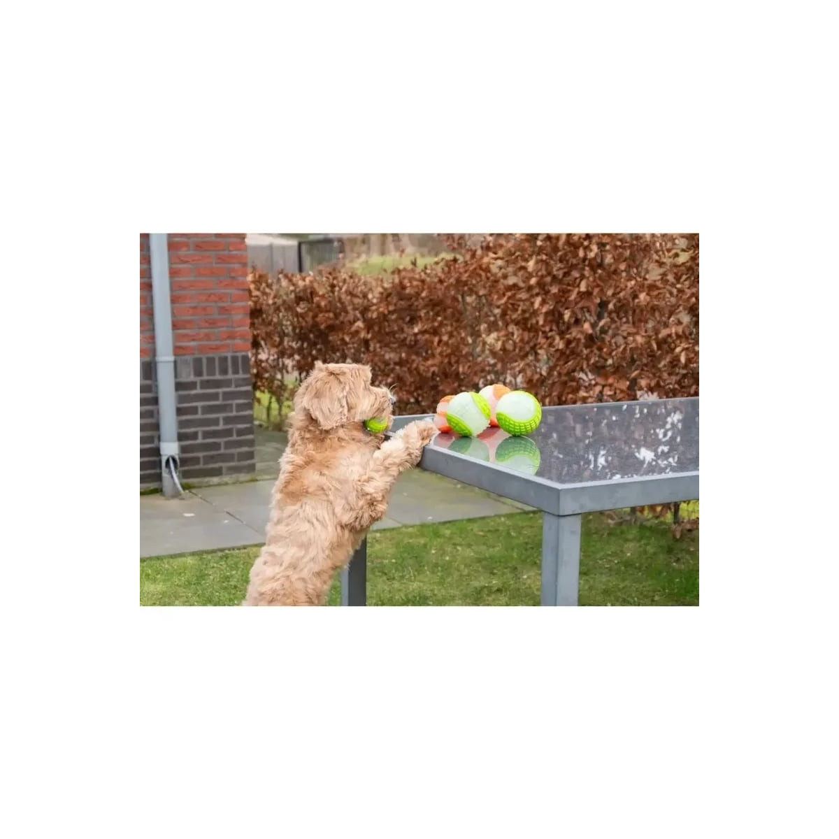 Balle phosphorescente Dog Comets Moon - Jouet chien rose 7,5 cm