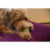 Balle phosphorescente Dog Comets Moon - Jouet chien rose 7,5 cm