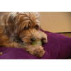 Balle chien Dog Comets phospho vert 10cm - Rebond, couineur