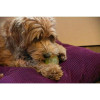 Jouet chien phosphorescent Dog Comets - Balle Moon Vert 5cm