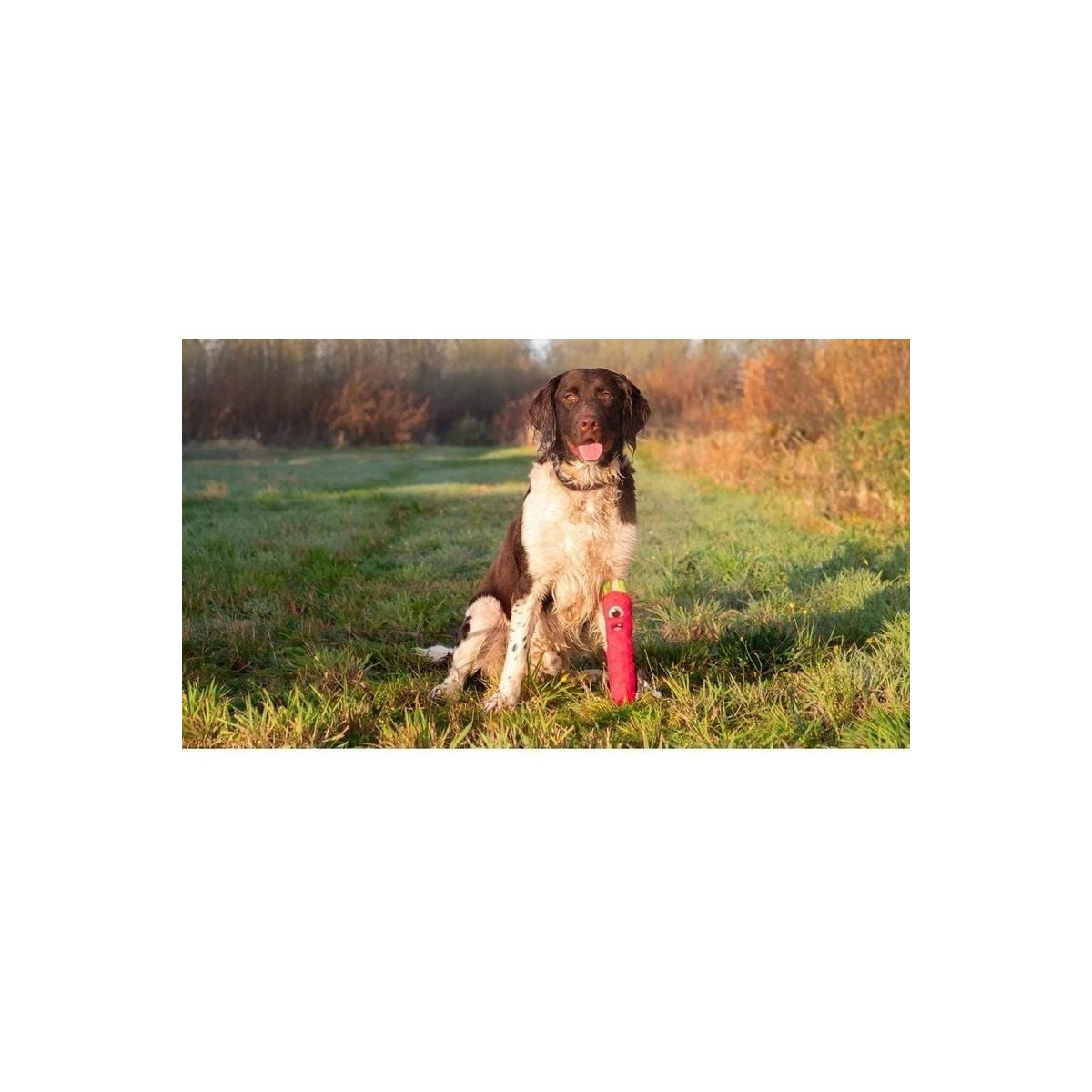 Jouet chien Dog Comets Invaders Rose - Peluche craquante et couineuse