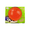 Ballon rouge Jolly Pets 20 cm - Flottant et durable pour chien