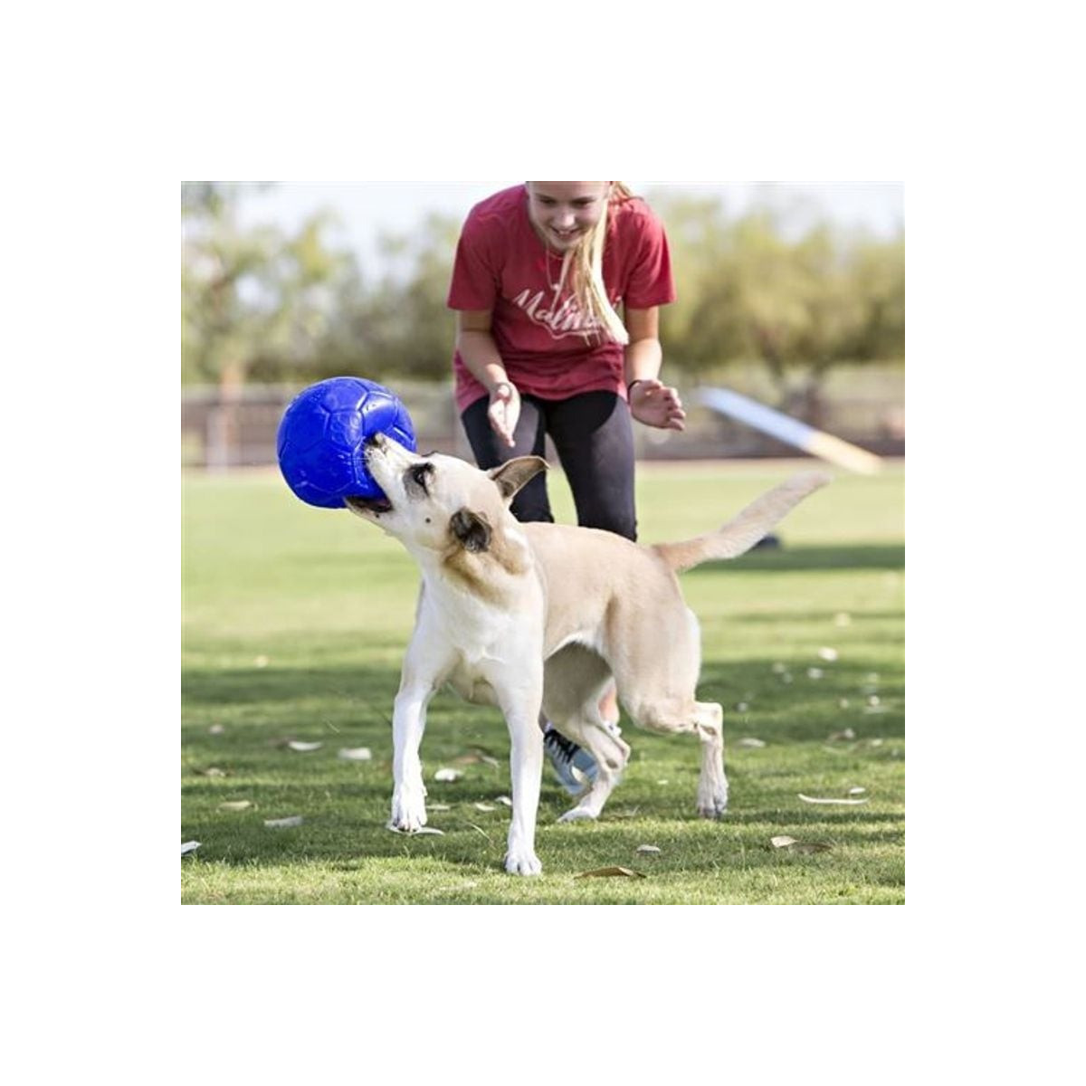 Ballon chien Jolly Pets 15cm bleu : flottant et indestructible