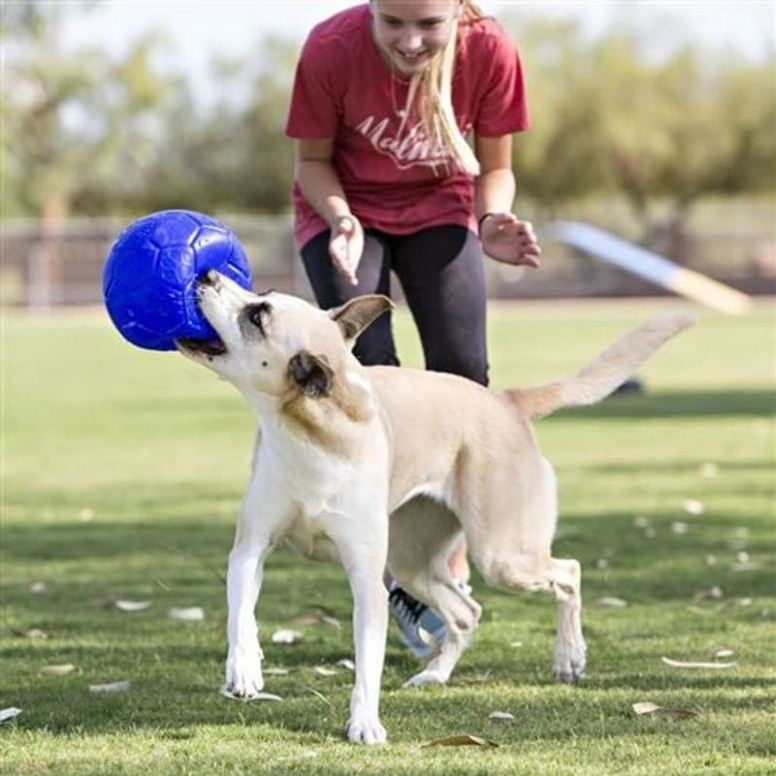 Ballon chien Jolly Pets 15cm bleu : flottant et indestructible