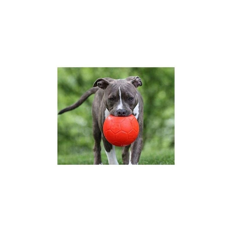 Jouet chien Jolly Pets Ball S orange 15cm - Flottant & ultra résistant