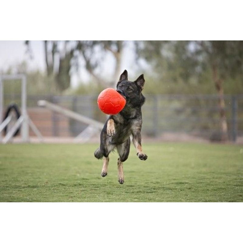 Jouet chien Jolly Pets Ball S 15cm - Ballon flottant vanille