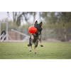 Jouet chien Jolly Pets Ball S 15cm - Ballon flottant vanille