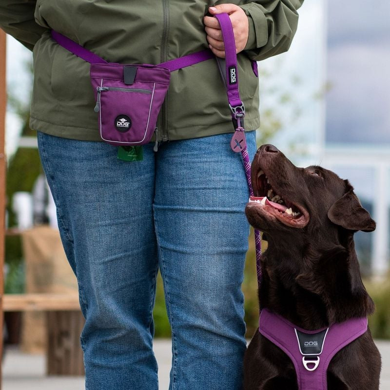 Promeneur avec chien utilisant la laisse Urban Rope DOG COPENHAGEN dans un parc.