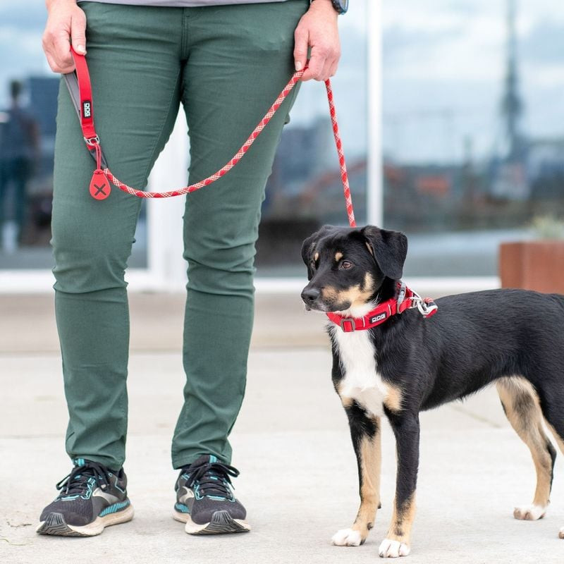 Laisse Urban Rope utilisée par un joggeur avec son chien dans une rue citadine.