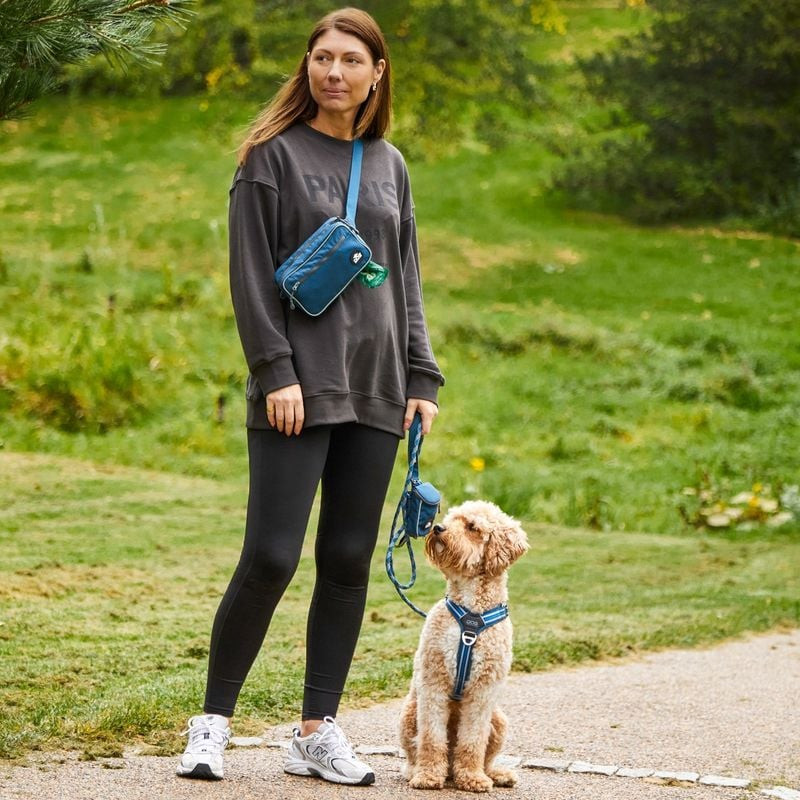 Chien tirant doucement sur la laisse Urban Rope, démontrant sa résistance et sa flexibilité.