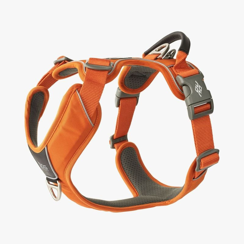 Vue latérale du harnais Comfort Walk Pro mettant en évidence les sangles de réglage et le rembourrag
