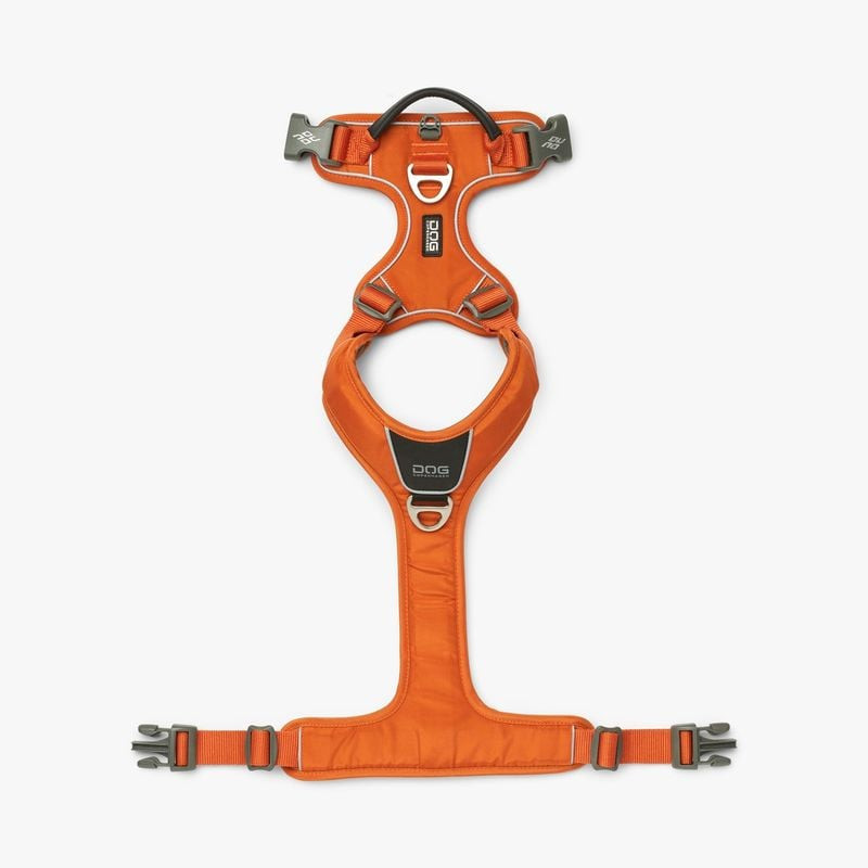 Vue de dessus du harnais Comfort Walk Pro DOG Copenhagen montrant la poignée et l'anneau d'attache d