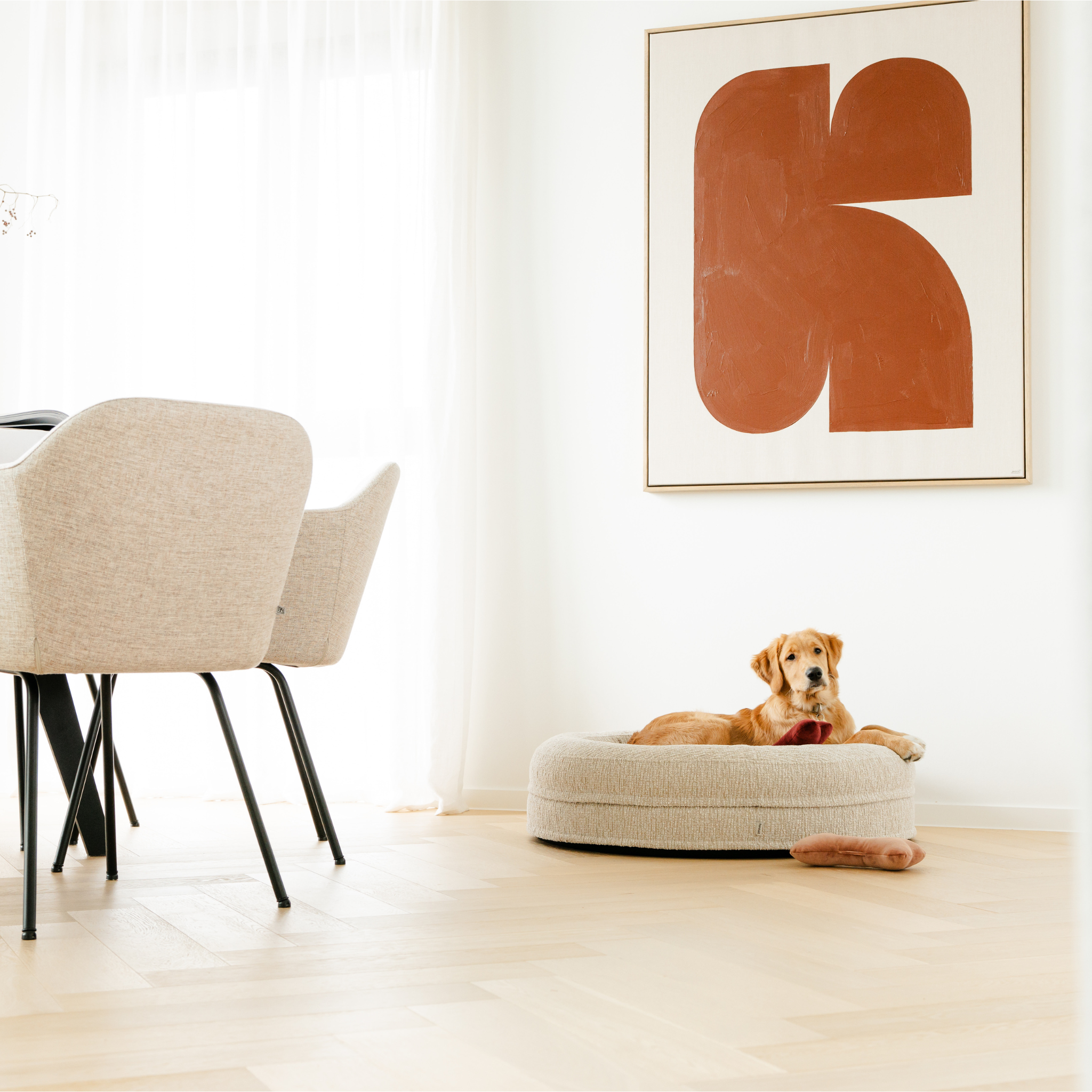 Fantail Elite Clay dog bed placed in a cozy living room, beige color complements modern decor.