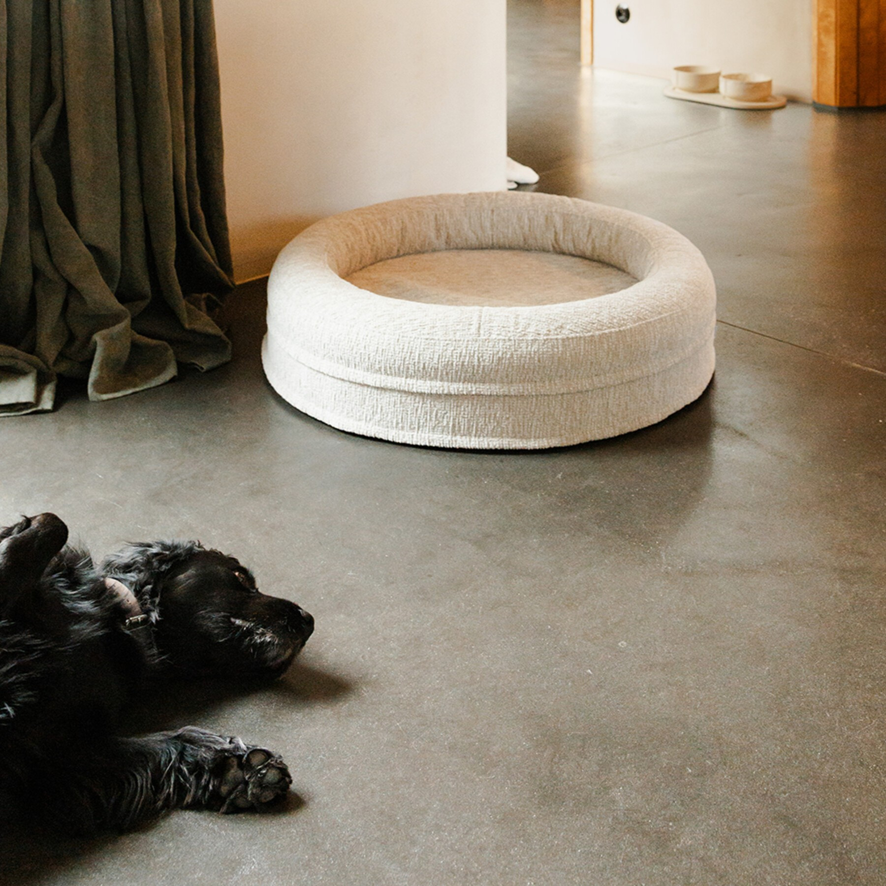 Fantail Elite Clay dog bed in a bright room with natural light, beige color and round shape highligh