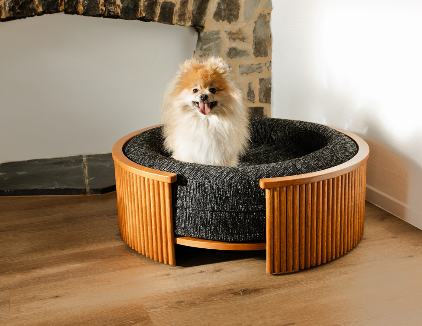 Happy medium-sized dog resting on Fantail Elite honey oak cushion frame with cushion
