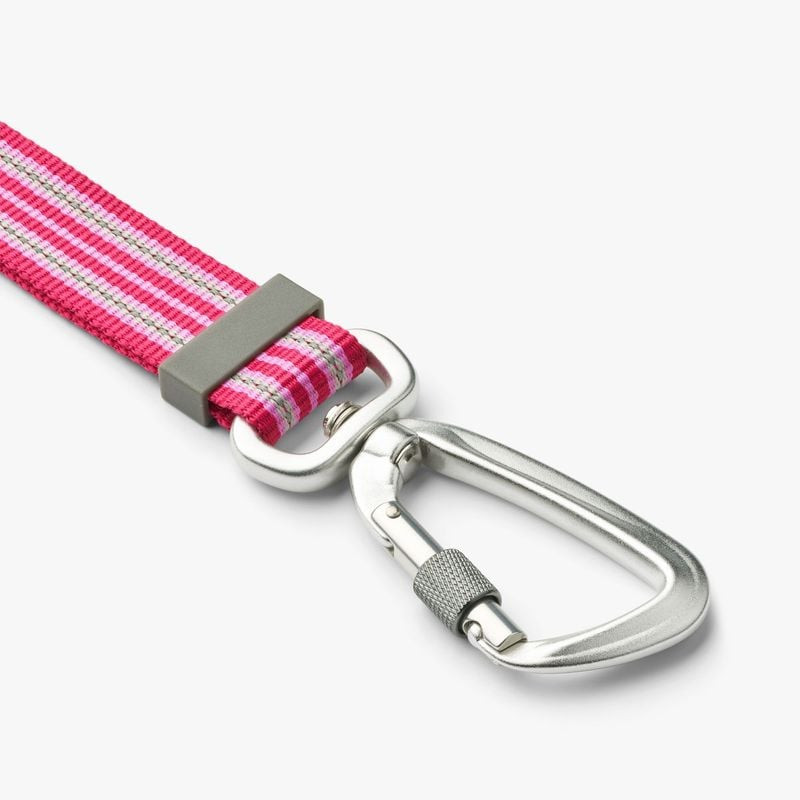 Gros plan du liseré réfléchissant 3M sur la sangle et boucle accessoire de la laisse DOG Copenhagen