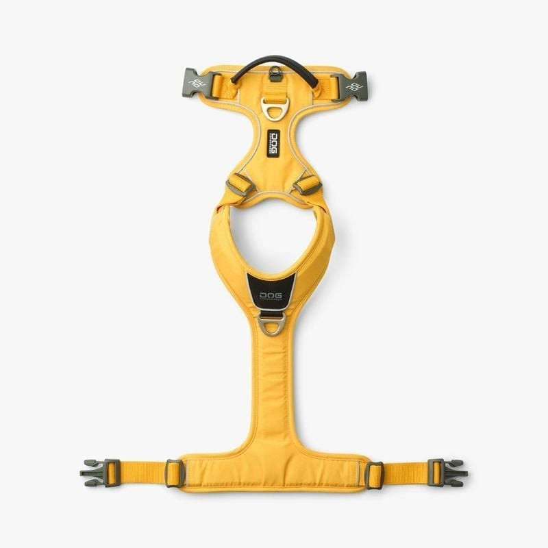 Harnais DOG Copenhagen Comfort Walk Pro Wild Lemon XL, vue de face montrant deux points d'attache po
