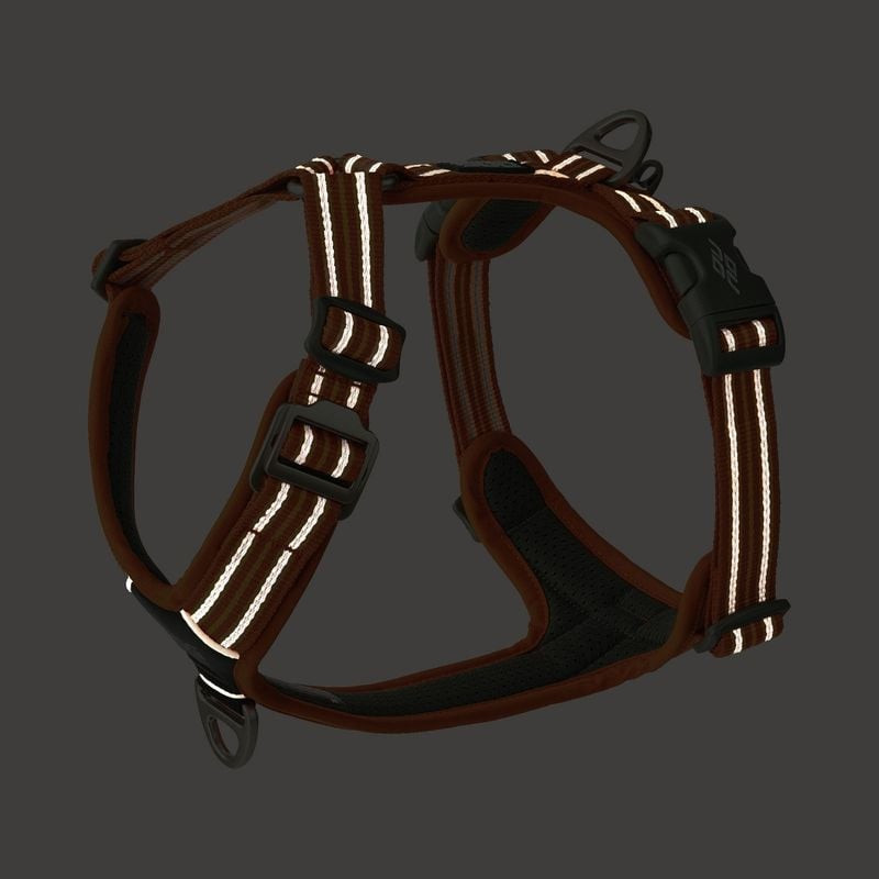 Vue de dessus du harnais DOG Copenhagen Comfort Walk Air Wild Lemon XL avec fermeture aluminium et p