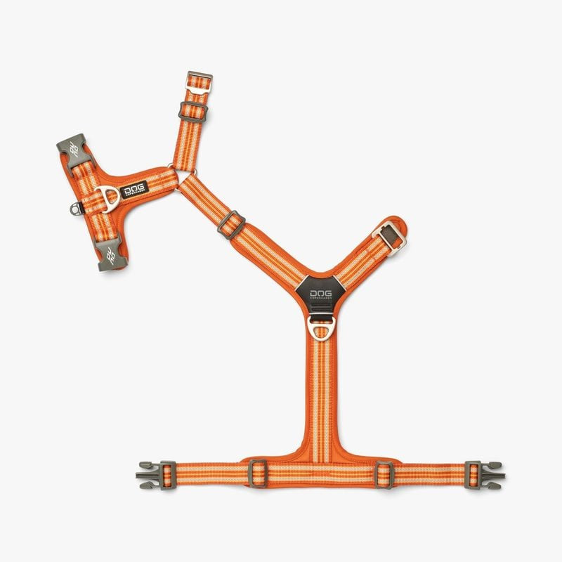 Harnais DOG COPENHAGEN Comfort Walk Air 3.0 vue arrière avec quatre points de réglage pour un ajuste