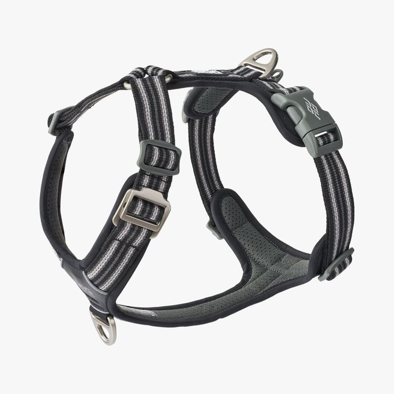 Harnais pour chien Comfort Walk Air, vue latérale avec quatre points de réglage et anneaux en D.