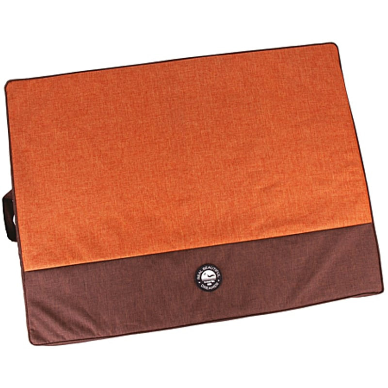 Vue avant du coussin Master Real Dreamer Marron Martin Sellier 1116444, housse polyester orange et m