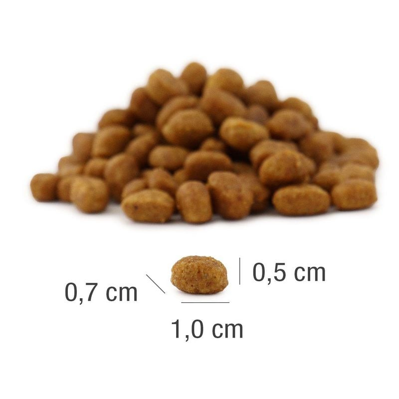 Gros plan sur une pile de croquettes Platinum MeatCrisp Stérilisé Poulet, taille 0,5-1,0 cm, texture