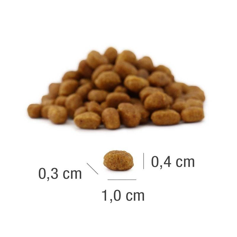 Gros plan sur une pile de croquettes Platinum Kitten au poisson MeatCrisp : petites pièces ovales br