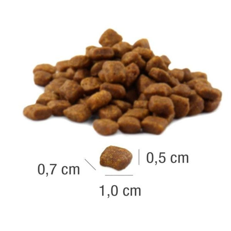 Vue détaillée des croquettes Platinum Kitten Poisson en tas avec mesures : 0,7 cm largeur, 0,5 cm ha